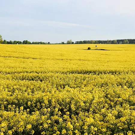 B 2 - Allergikerfreundlich, Extra Bike Friendly Und Mit Suedterrasse Im 
