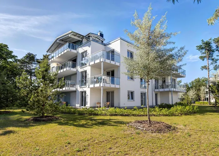 B 2 Pine Hill Allergikerfreundlich&extra Bike Friendly Apartment Zirchow